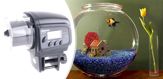 Автокормушки и кормушки для рыбок купить в интернет-магазине для аквариумистов «натяжныепотолкибрянск.рф»