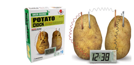 Пароли картофель характеристика. Картофельные часы. Часы на картошке. Часы Potato. Часы из картошки описание опыта.